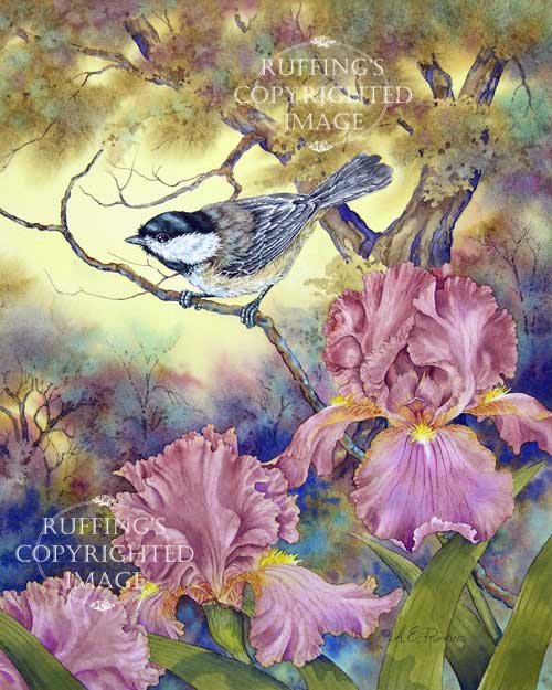 "Black-capped Chckadee and Iris" AER12 by A E Ruffing