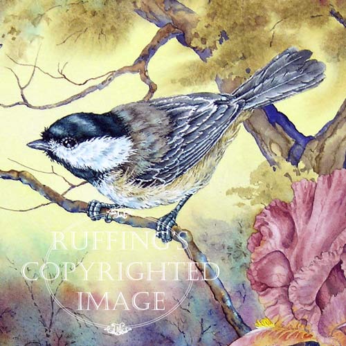 "Black-capped Chckadee and Iris" AER12 by A E Ruffing