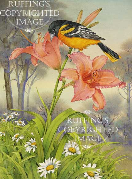 "Oriole and Daylily" AER21 by A E Ruffing Bird and Flower