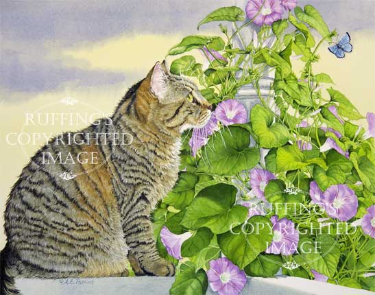 "Henrietta and the Morning Glories" AER74 by A E Ruffing Tabby Cat