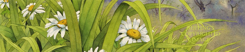 Detail "Oriole and Daylilies" by A E Ruffing