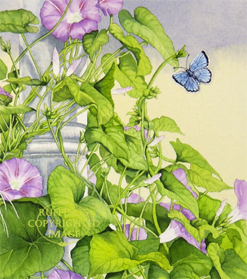 Detail "Henrietta and the Morning Glories" Original Watercolor Painting by A E Ruffing Copyright A E Ruffing