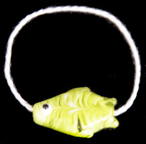Daphne's fish bracelet
