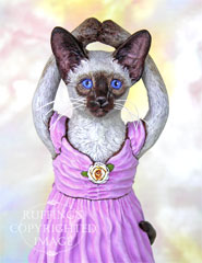 Jazzie the Siamese Ballerina, Original One-of-a-kind Cat Folk Art Doll Figurine by Max Bailey