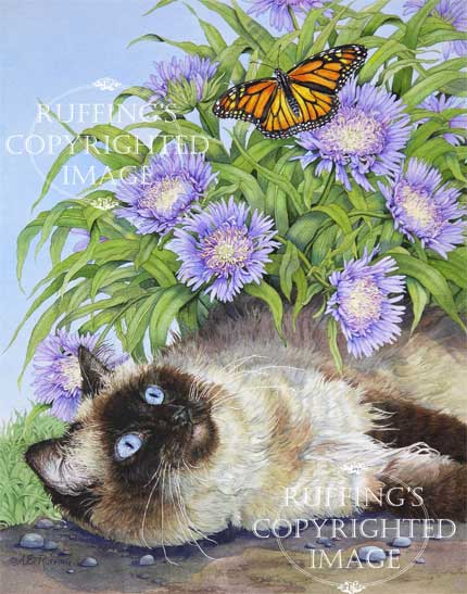 "The Monarch and The Queen" AER72 by A E Ruffing Ragdoll Cat