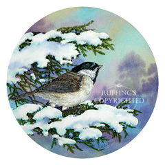 AER76 "Carolina Chickadee and Eastern Red Cedar" by A E Ruffing