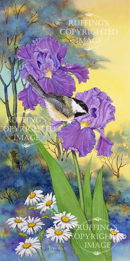 Evening Song AER87 by A E Ruffing Chickadee and Iris