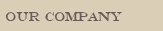 Our Company